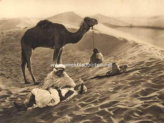 Onbekend, 1914, Onbekend, Woestijn-idylle