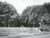 Miniatuurfoto