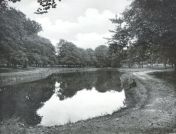 Miniatuurfoto
