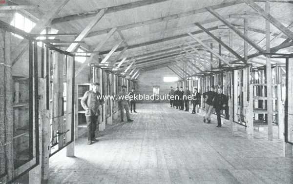 Noord-Holland, 1915, Halfweg, Iets nieuws op het gebied van troepenlogies. Een der loodsen te Halfweg van binnen, met opgeklapte bedden en tafels