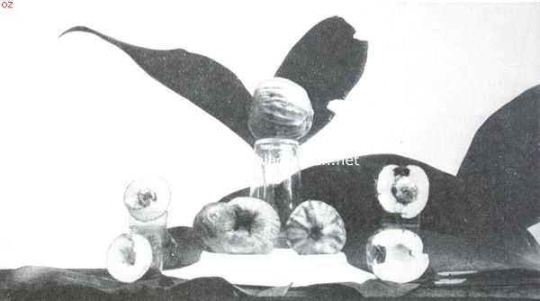 Indonesi, 1915, Onbekend, Javaansche vruchten. Djamboe bol (Jambosa Domestica)