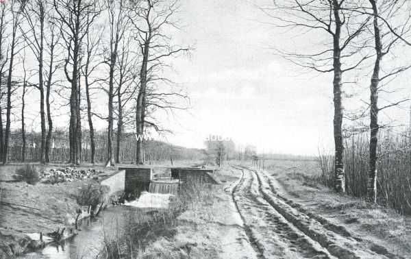 Het Veluwsche landschap. Langs de beek