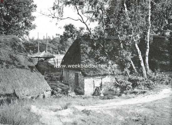 Het Veluwsche landschap. Huisje onder de berken