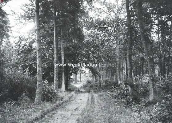 Noord-Brabant, 1915, Oisterwijk, Het openluchtspel te Oisterwijk (Noord-Brabant). Laantje op de Hondsberg, waar dezer dagen het bijbelsch drama 