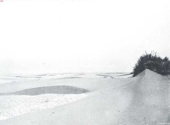 Groningen, 1915, Onbekend, Bij den Nederlandschen Robinson. Duinvorming aan Rottum's Noord-Oost-strand