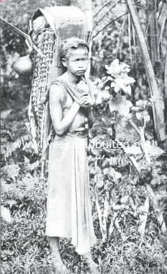 Indonesi, 1915, Onbekend, In de Padangsche Bovenlanden. Jongen uit de Padangsche bovenlanden