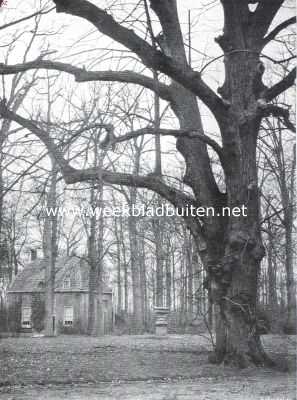 Zuid-Holland, 1915, Oegstgeest, Oud-Poelgeest. Kijkje in het park met tuinmanswoning