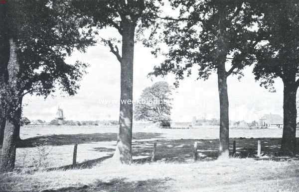 Gelderland, 1915, Ruurlo, Gezicht op den korenmolen bij Ruurlo