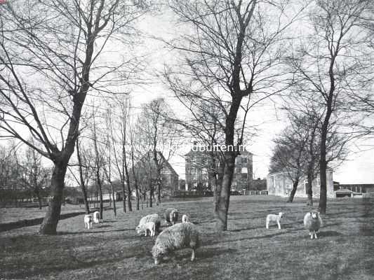 Noord-Holland, 1916, Zeeburg, Het Hoogheemraadschap van Zeeburg en Diemerdijk. Het Gemeenlandshuis met de stallen, achterzijde