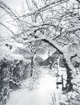 Noord-Holland, 1916, Bussum, Sneeuwpracht. De Graaf Florislaan te Bussum na den sneeuwval in de afgeloopen week