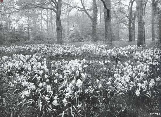 Onbekend, 1916, Onbekend, Ontwerp eener moderne schoonheidsleer voor den tuinaanleg. De 