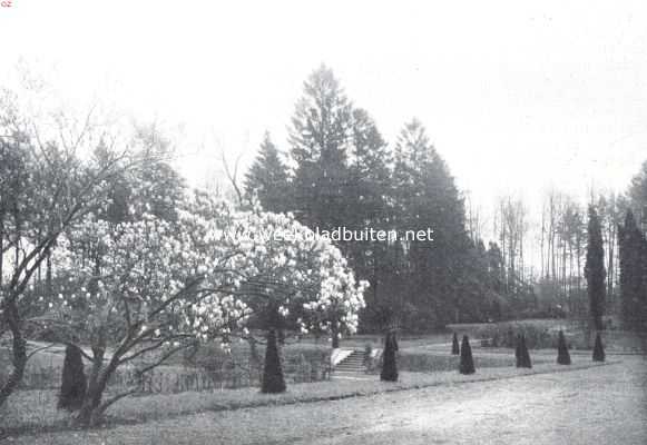 Belgi, 1916, Onbekend, Ontwerp eener moderne schoonheidsleer voor den tuinaanleg. Nog een afbeelding van het domein van Maillard. Een prachtige groep magnolia's, zorgvuldig gespaard, staat op de terrassen en breekt de strakheid; dit gedeelte krijgt aldus het aanzien van 