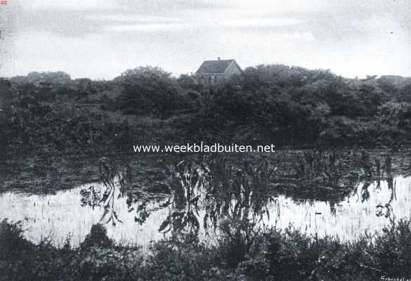 Zuid-Holland, 1916, Rockanje, Rockanje's geheimzinnig meertje. Meertje in de duinen bij Rockanje