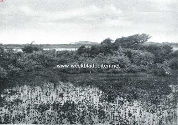 Zuid-Holland, 1916, Rockanje, Rockanje's geheimzinnig meertje. Het Quackjeswater in de duinen bij Rockanje