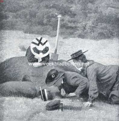 Onbekend, 1916, Onbekend, De Driehoornige Mestkever. Het uitgraven van het hol van den driehoornigen mestkever