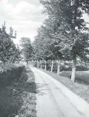 Noord-Holland, 1917, Schellinkhout, Bezuiden de 