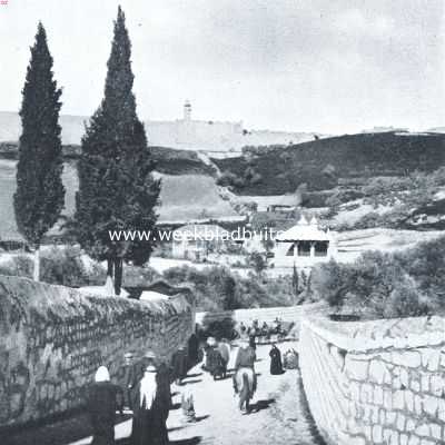 Isral, 1917, Jeruzalem, Jeruzalem. De muren van Jeruzalem, gezien van den Olijfberg