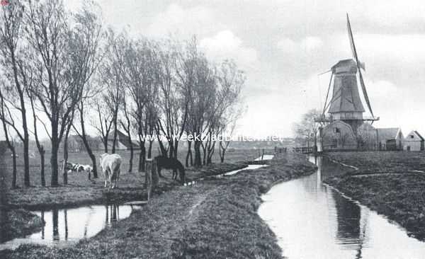 Noord-Holland, 1917, Nieuwendam, Bij Nieuwendam