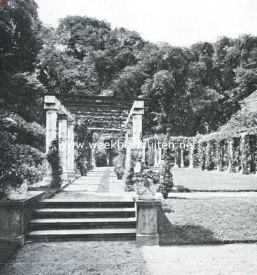 Zuid-Holland, 1917, Delft, Van weiland tot tuin. Gezicht op de pergola