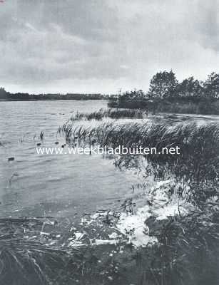 Drenthe, 1917, Paterswolde, Aan den in den afgeloopen week geopenden Bondswandelweg. Meertje op de buitenplaats 