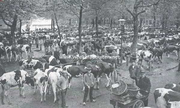 Noord-Holland, 1918, Purmerend, Purmerend. Kijkje op de koemarkt in de goede dagen vr de slagersstaking