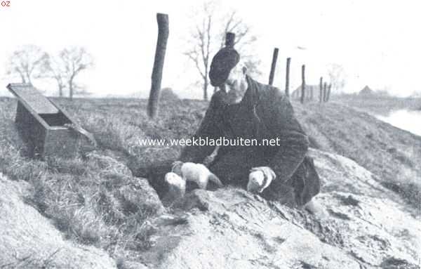 Nederland, 1918, Onbekend,  Met den koddebeier op pad. Het fretteeren