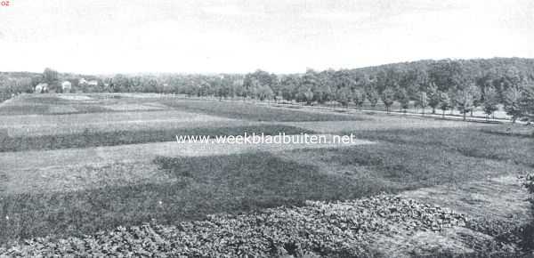 Gelderland, 1918, Velp, Beekhuizen als bergland. Wijde monding van het Beekhuizerdal in het Ijsseldal. Links de Rozendaalsche Rug, op een der voorbergen daarvan (ongeveer in het midden der plaat) de villa 