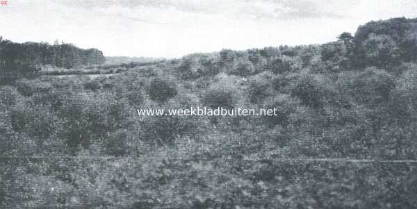 Gelderland, 1918, Velp, Beekhuizen als bergland. Dalgezicht afwaarts, van den voet van den Kluizenaarsberg. De boomenrij links volgt ongeveer de beek. De dalbodem helt flauw naar links af. Rechts beginnen de lagere 