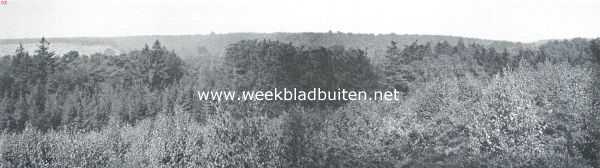 Gelderland, 1918, Velp, Beekhuizen als bergland. Gezicht tegen de Roozendaalsche Rug tussen Kluizenaars- en Zypenberg, van den tegenoverliggenden 