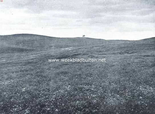 Gelderland, 1918, Velp, Beekhuizen als bergland. Herkhuizer dal, het bovenste boomlooze gedeelte in opwaartsche richting gezien. Het karrespoor geeft den dalbodem aan. Aan den linkerkant schuiven vlakke heuvelruggen voor elkaar langs
