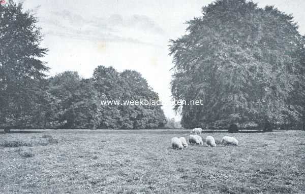 Utrecht, 1918, Blauwkapel, Het landgoed Beukenburg. De weide voor het huis