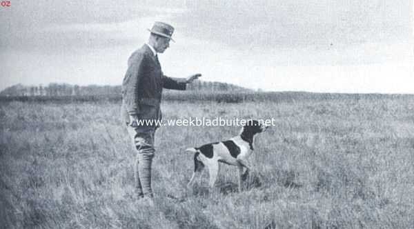 Nederland, 1918, Onbekend, Veldwedstrijden voor honden. Het voorjagen van 'n hond