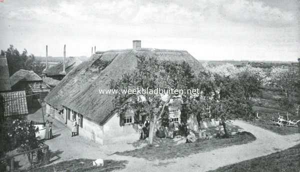 In het land van de bloeiende kerseboomen. Betuwsch huisje aan den rivierdijk