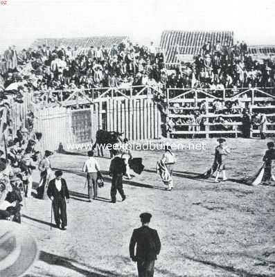 Spanje, 1918, Sevilla, Stierengevecht te Sevilla