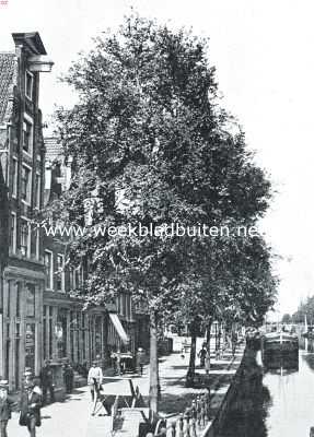 De gevel van het Huis Prinsengracht 36 te Amsterdam (geheel links op de afbeelding), dat door de vereeniging Hendrick de Keyser is aangekocht. Deze gevel is een voorbeeld van de toepassing der klassieke vormen, door Jacob van Campen in zwang gebracht, en door zijn leerling Philip Vingboons ontworpen. Misschien is de gevel, die van 1650 dagteekent, van Vingboons afkomstig