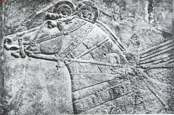 Assyrisch relief. Kop van een paard van het span van Assurbanipalus (ongeveer 650 V. Chr.)