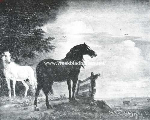 Onbekend, 1918, Onbekend, Het paard in de beeldende kunst. Het paard in de weide. Naar de schilderij van Paulus Potter (1625-1654) in het Rijksmuseum