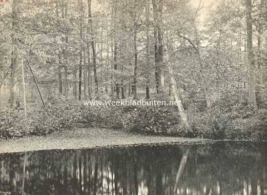 Het Nederl. Openlucht Museum. Aan een der vijvers op den Waterberg, het terrein van het Nederlandsch Openlucht-Museum