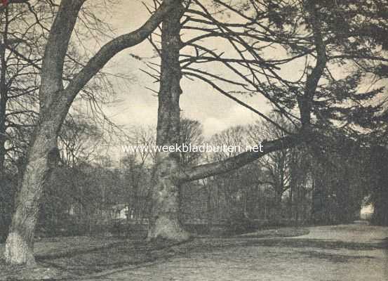 Noord-Holland, 1919, Heiloo, Nijenburg. In het park van Nijenburg