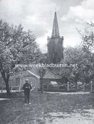 Een vruchtenparadijs. Kijkje op den kerktoren van Zwaag in den bloesemtijd