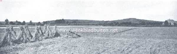 Lochem en Barchem. Gezicht van de Barchemsche enk op de Barchemsche Heuvelrij