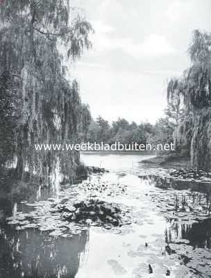 Friesland, 1919, Leeuwarden, Vijver in het Rengerspark te Leeuwarden