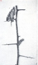 Miniatuurfoto