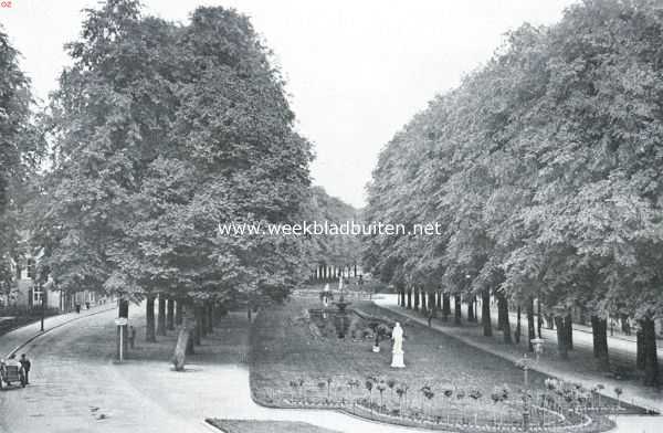 Gelderland, 1920, Arnhem, De Janssingel te Arnhem, welks prachtige boomen weldra zullen moeten vallen