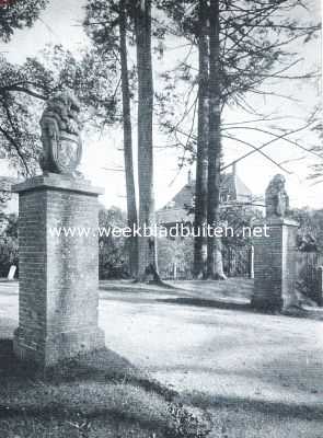 Gelderland, 1920, Ophemert, Het Huis te Ophemert. Oprijlaan