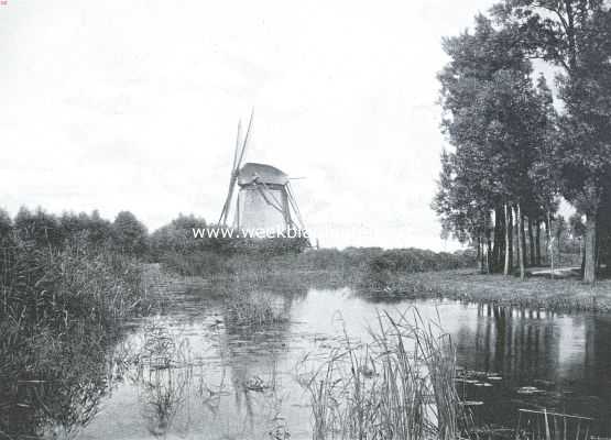 Onze windmolen-typen. Lage bovenkruier aan het Gein