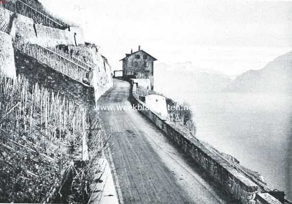 Zwitserland, 1920, Cully, Aan het Meer van Genve. In het wijnland boven Cully
