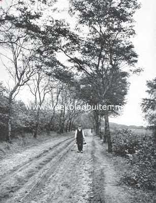 Noord-Holland, 1920, Castricum, Castricum. De weg van Bakkum naar zee