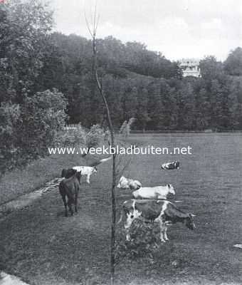 Gelderland, 1920, Wageningen, Op het terras. 