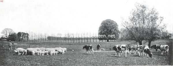 Landschappelijk schoon 2